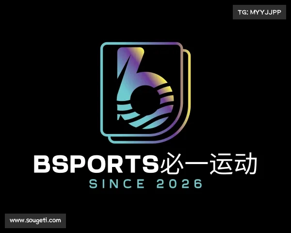 了解bsports必一运动